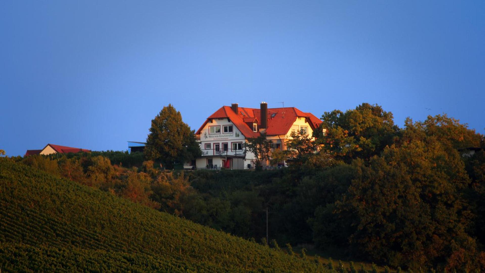 Kirschberghof Gaestehaus Und Weinverkauf Sommerhausen Exterior photo
